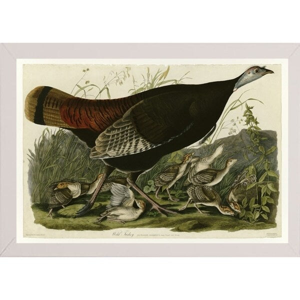 Wild Turkey-VINAPP116481 Print 13.75"x20" by Vintage Apple Collection