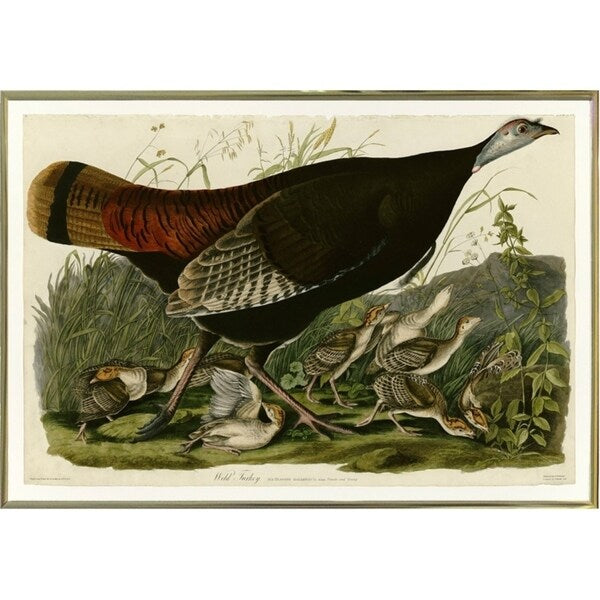 Wild Turkey-VINAPP116481 Print 13.75"x20" by Vintage Apple Collection