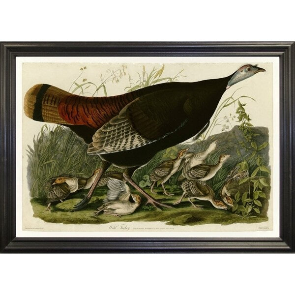 Wild Turkey-VINAPP116481 Print 13.75"x20" by Vintage Apple Collection