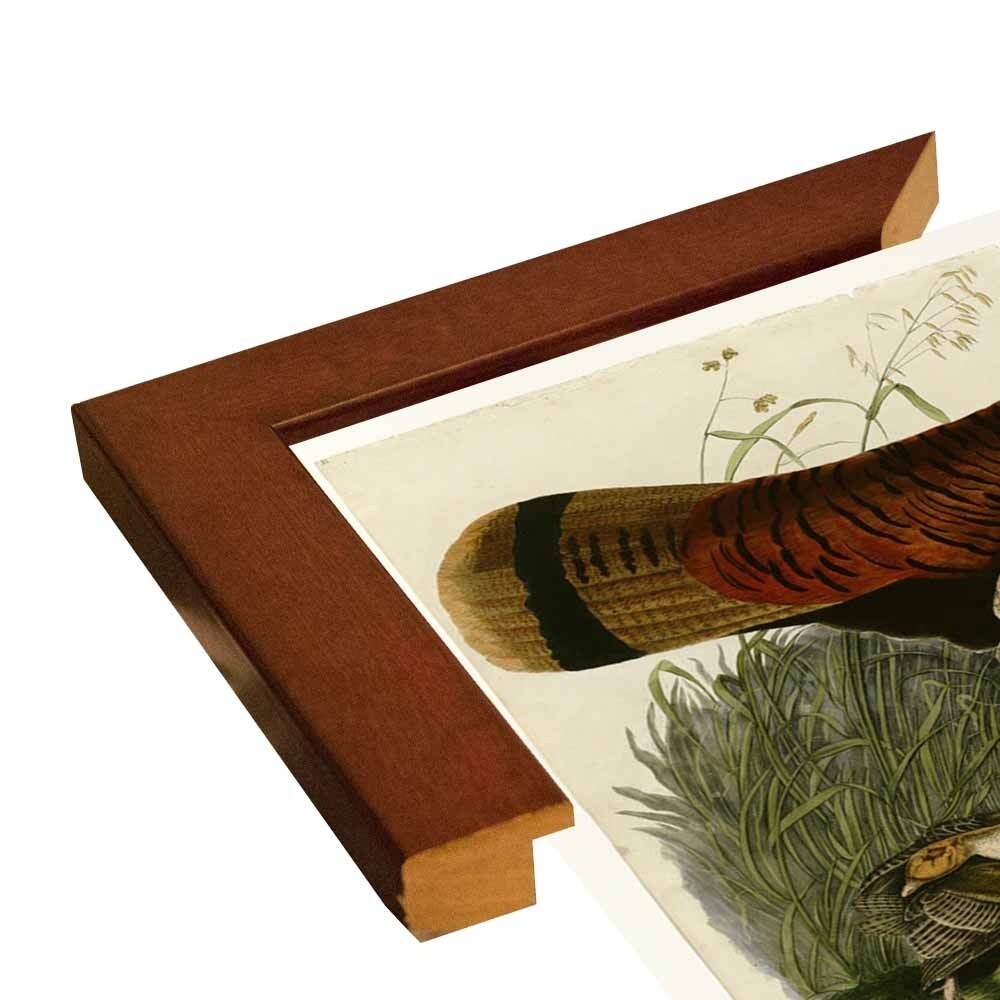 Wild Turkey-VINAPP116481 Print 13.75"x20" by Vintage Apple Collection