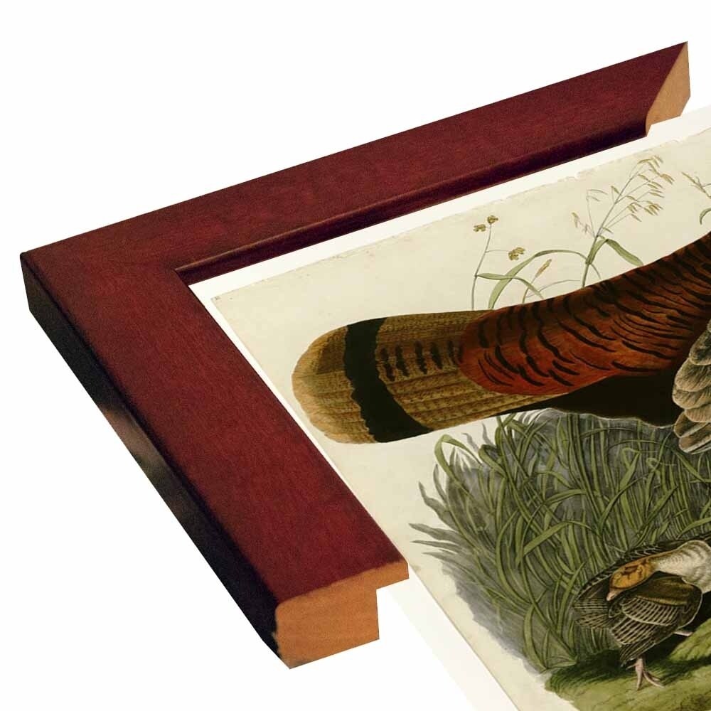 Wild Turkey-VINAPP116481 Print 13.75"x20" by Vintage Apple Collection