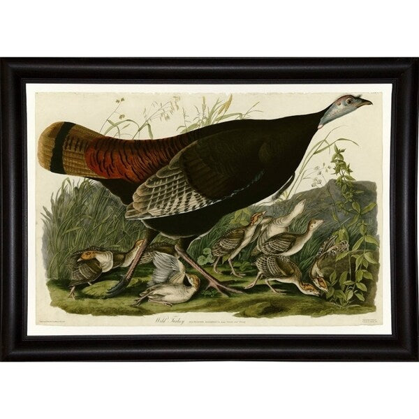 Wild Turkey-VINAPP116481 Print 13.75"x20" by Vintage Apple Collection