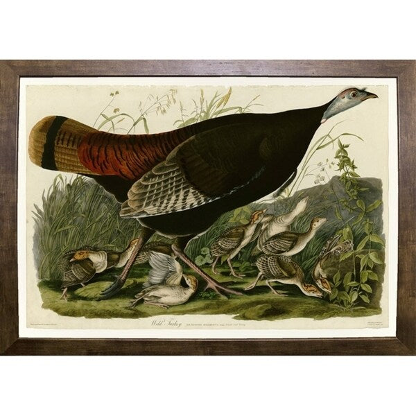 Wild Turkey-VINAPP116481 Print 13.75"x20" by Vintage Apple Collection