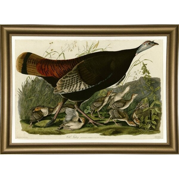 Wild Turkey-VINAPP116481 Print 13.75"x20" by Vintage Apple Collection