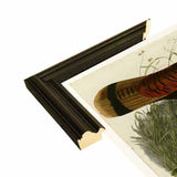 Wild Turkey-VINAPP116481 Print 13.75"x20" by Vintage Apple Collection