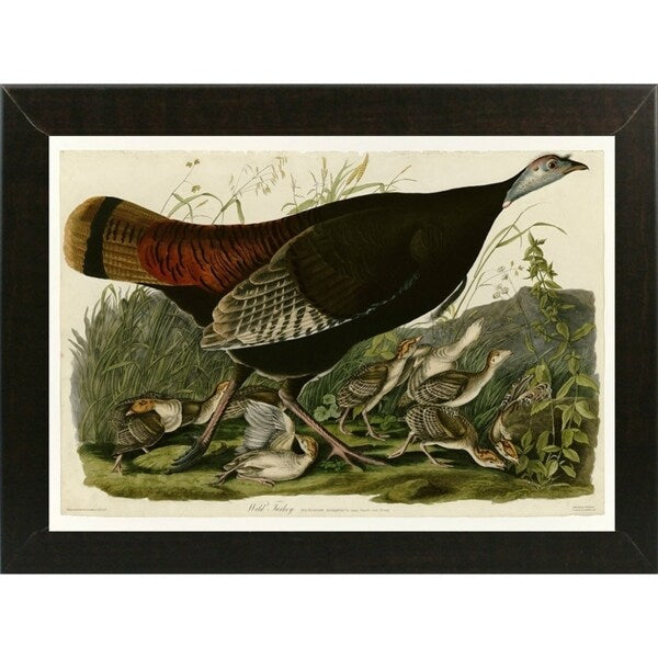 Wild Turkey-VINAPP116481 Print 13.75"x20" by Vintage Apple Collection