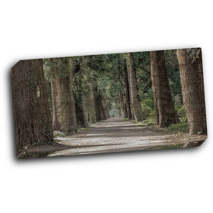Wilderness Stroll 24x12 Gallery Wrapped Stretched Canvas