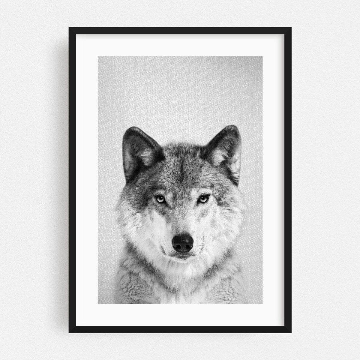 Wolf Black White Photography Animals Figurative Art Print/Poster
