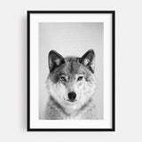 Wolf Black White Photography Animals Figurative Art Print/Poster