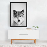 Wolf Black White Photography Animals Figurative Art Print/Poster