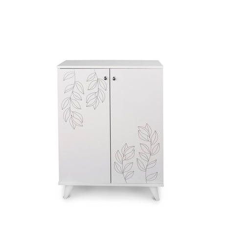 Wood Base Shoe Cabinet With Double Door
