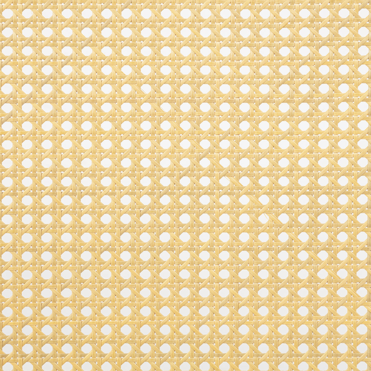 1269359878