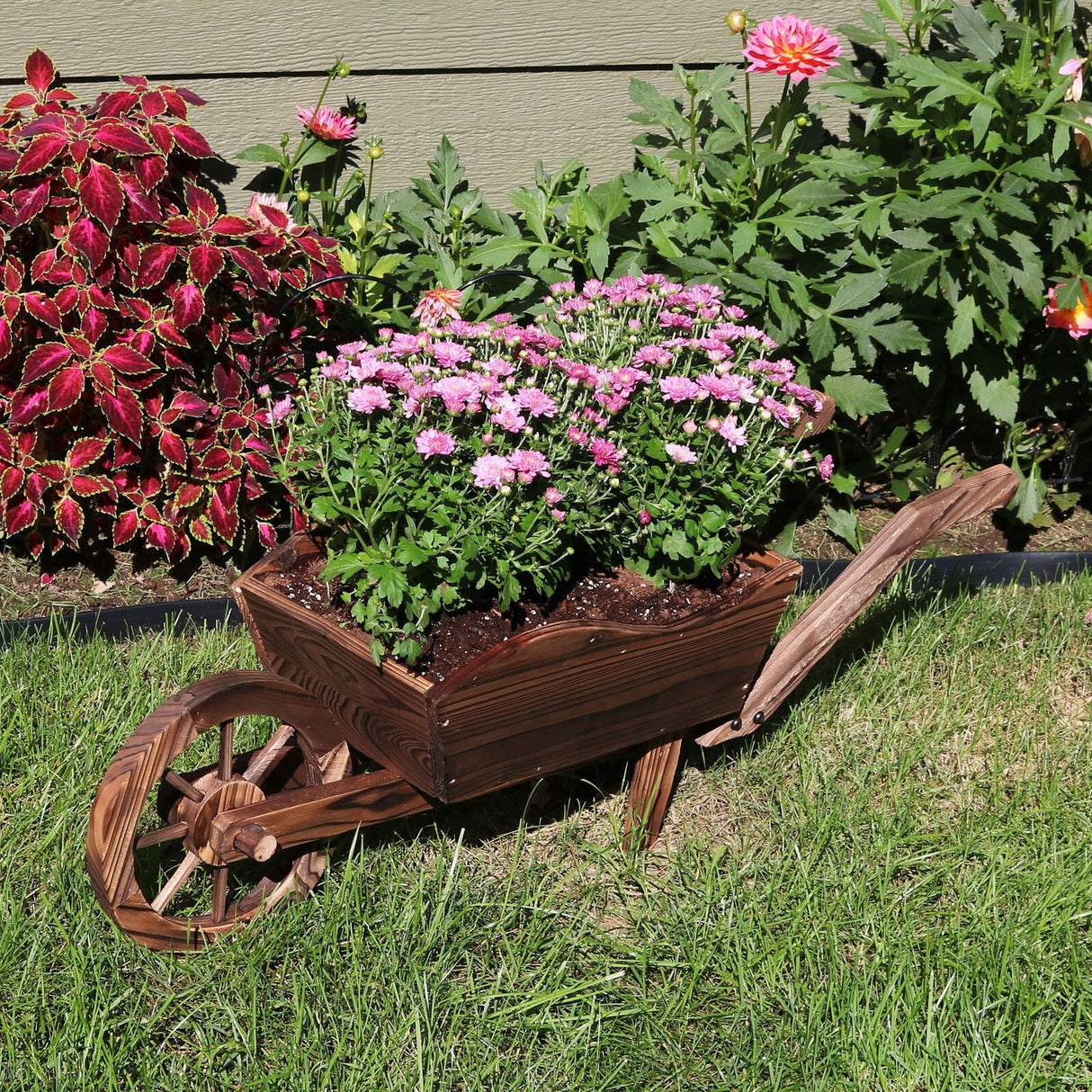 Wooden Fir Decorative Wheelbarrow Garden Planter