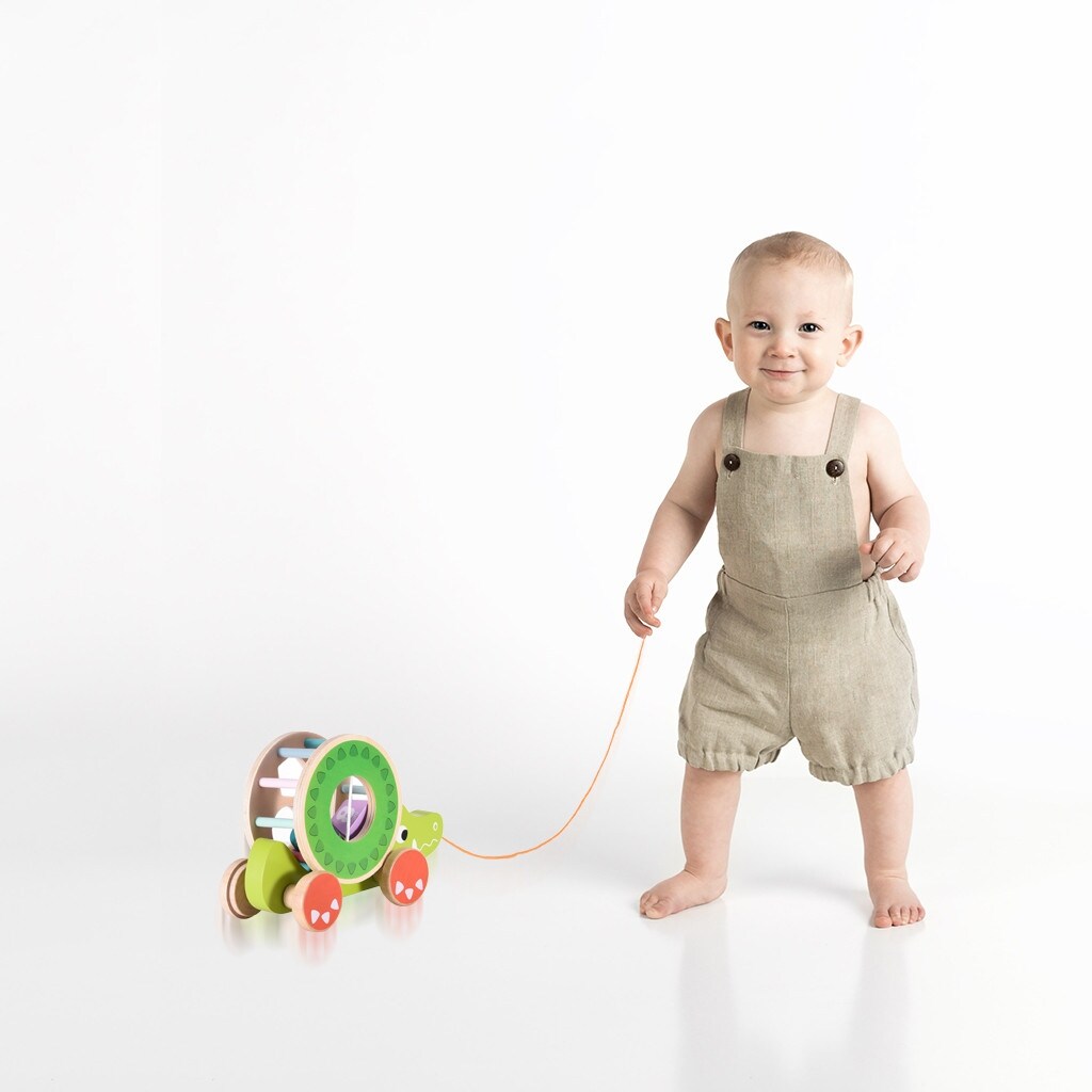 Wooden Pull Toy A-Crocodile , Shape Sorter Push Pull Toy Car for Toddlers, Best Gifts for 2 3 4 Years Old Kids Boys&Girls