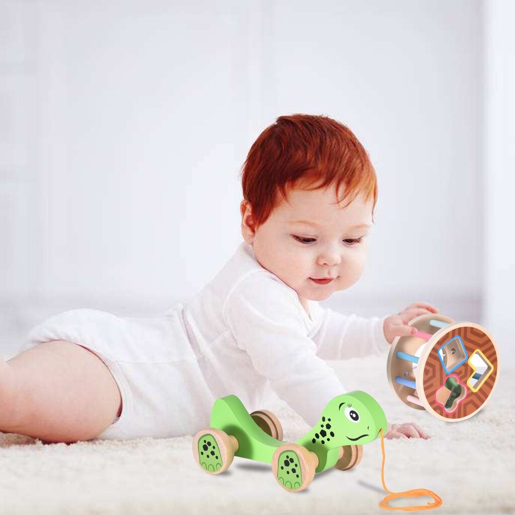 Wooden Pull Toy A-Turtle , Shape Sorter Push Pull Toy Car for Toddlers, Best Gifts for 2 3 4 Years Old Kids Boys&Girls