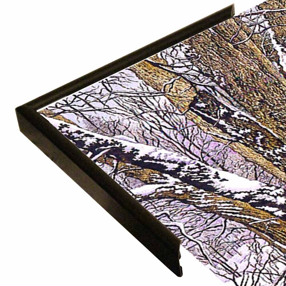 Woodland Winter-THEWIN9641 Print 25"x36.75" by Thelma Winter