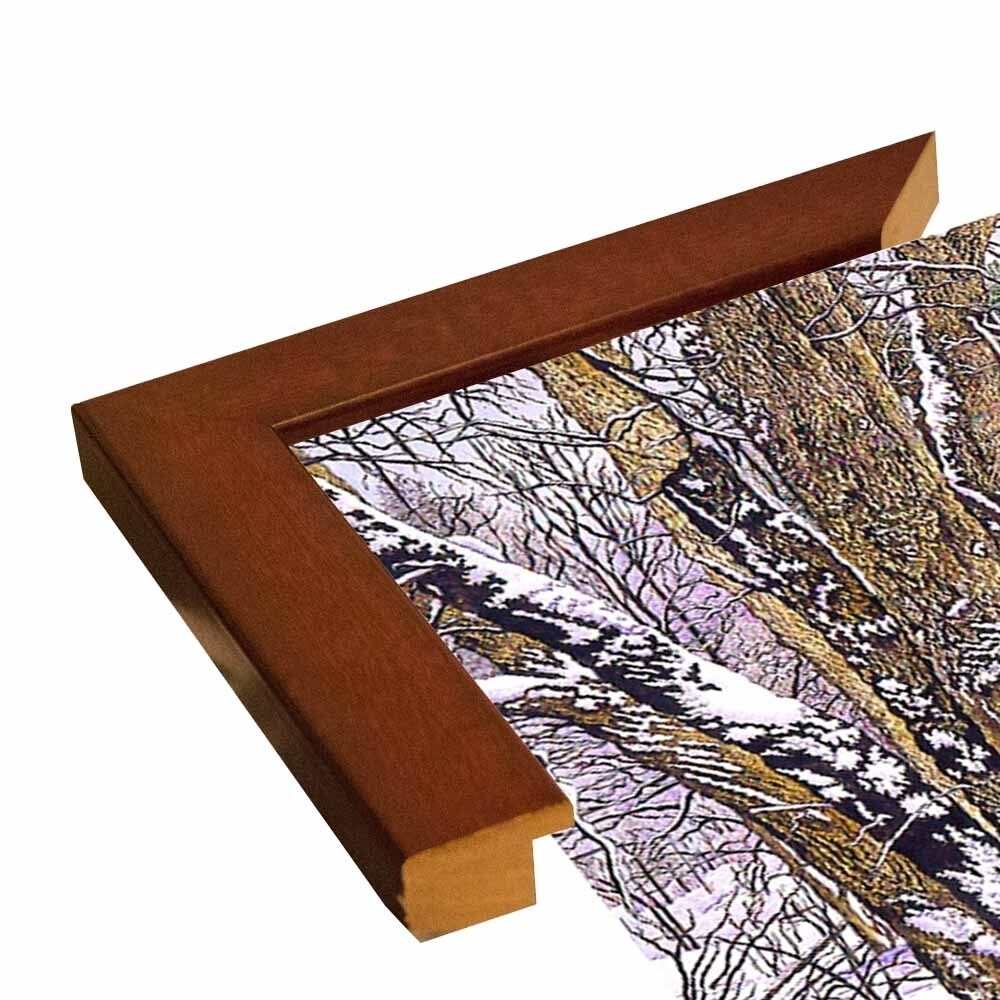 Woodland Winter-THEWIN9641 Print 25"x36.75" by Thelma Winter