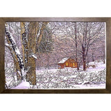 Woodland Winter-THEWIN9641 Print 25"x36.75" by Thelma Winter