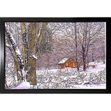 Woodland Winter-THEWIN9641 Print 25"x36.75" by Thelma Winter