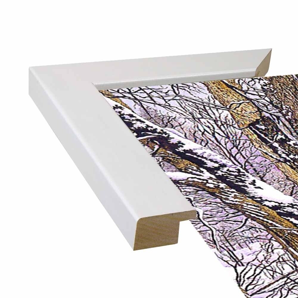 Woodland Winter-THEWIN9641 Print 25"x36.75" by Thelma Winter
