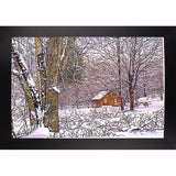 Woodland Winter-THEWIN9641 Print 25"x36.75" by Thelma Winter