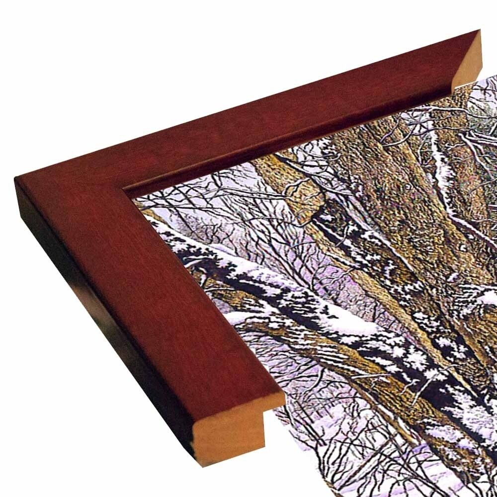 Woodland Winter-THEWIN9641 Print 25"x36.75" by Thelma Winter