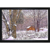 Woodland Winter-THEWIN9641 Print 25"x36.75" by Thelma Winter