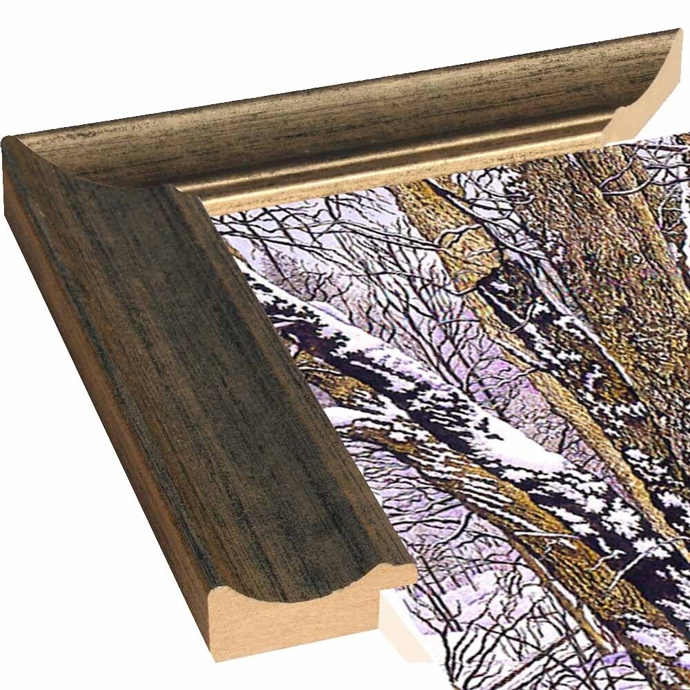 Woodland Winter-THEWIN9641 Print 25"x36.75" by Thelma Winter