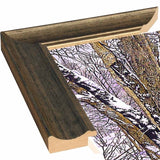 Woodland Winter-THEWIN9641 Print 25"x36.75" by Thelma Winter