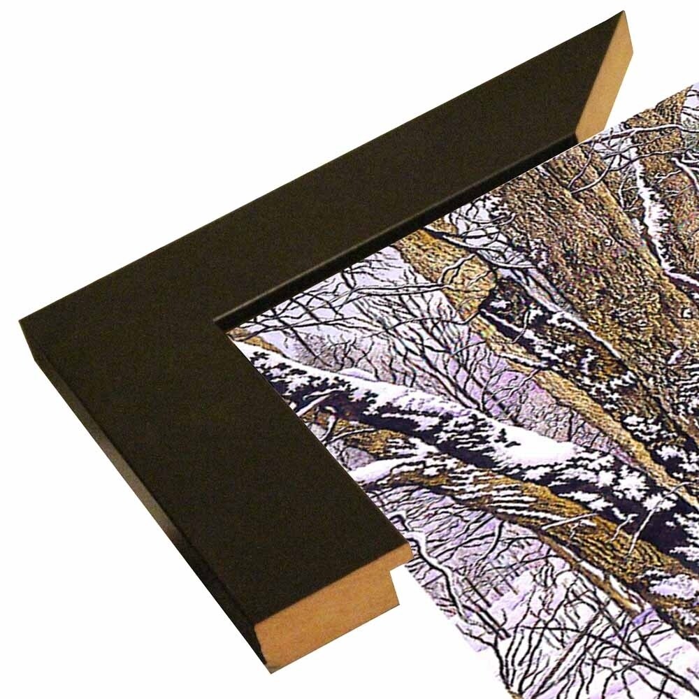 Woodland Winter-THEWIN9641 Print 25"x36.75" by Thelma Winter