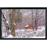 Woodland Winter-THEWIN9641 Print 25"x36.75" by Thelma Winter