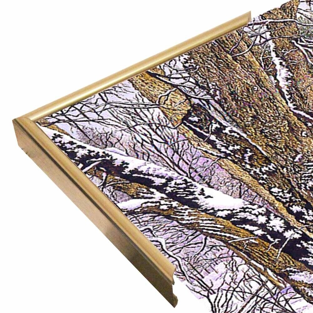 Woodland Winter-THEWIN9641 Print 25"x36.75" by Thelma Winter