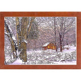 Woodland Winter-THEWIN9641 Print 25"x36.75" by Thelma Winter