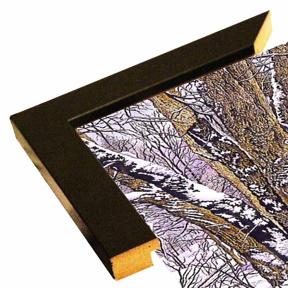 Woodland Winter-THEWIN9641 Print 25"x36.75" by Thelma Winter
