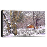 Woodland Winter-THEWIN9641 Print 25"x36.75" by Thelma Winter
