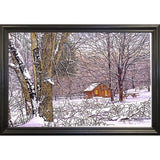 Woodland Winter-THEWIN9641 Print 25"x36.75" by Thelma Winter