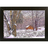 Woodland Winter-THEWIN9641 Print 25"x36.75" by Thelma Winter