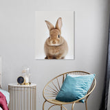 Wynwood Studio Canvas Animals Baby Animal Bunny Brown and Tan Modern & Contemporary Wall Art Canvas Print - Brown, White