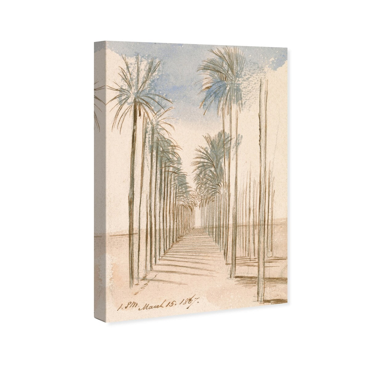 Wynwood Studio Canvas Floral and Botanical Avenue of Trees Wall Art Canvas Print