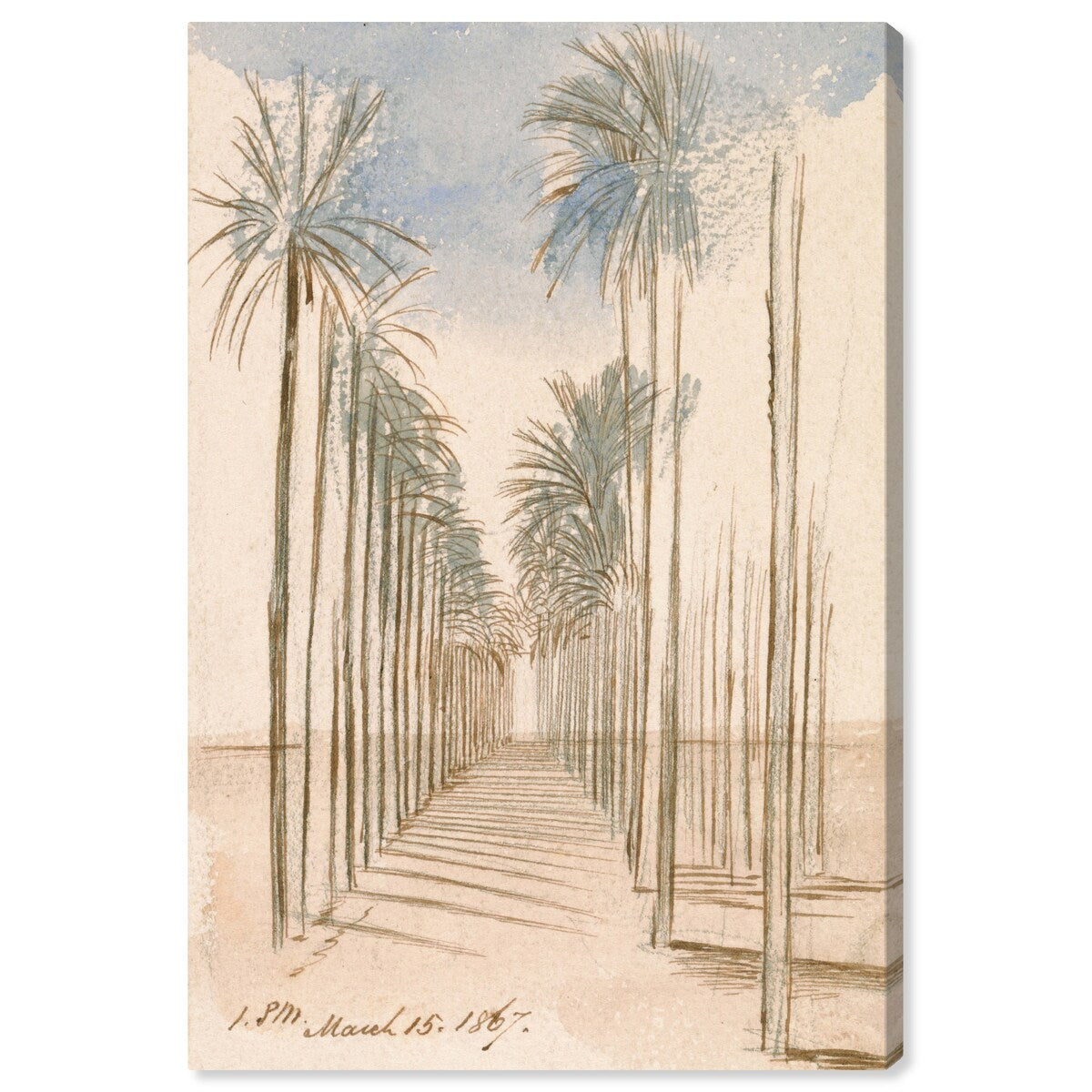 Wynwood Studio Canvas Floral and Botanical Avenue of Trees Wall Art Canvas Print