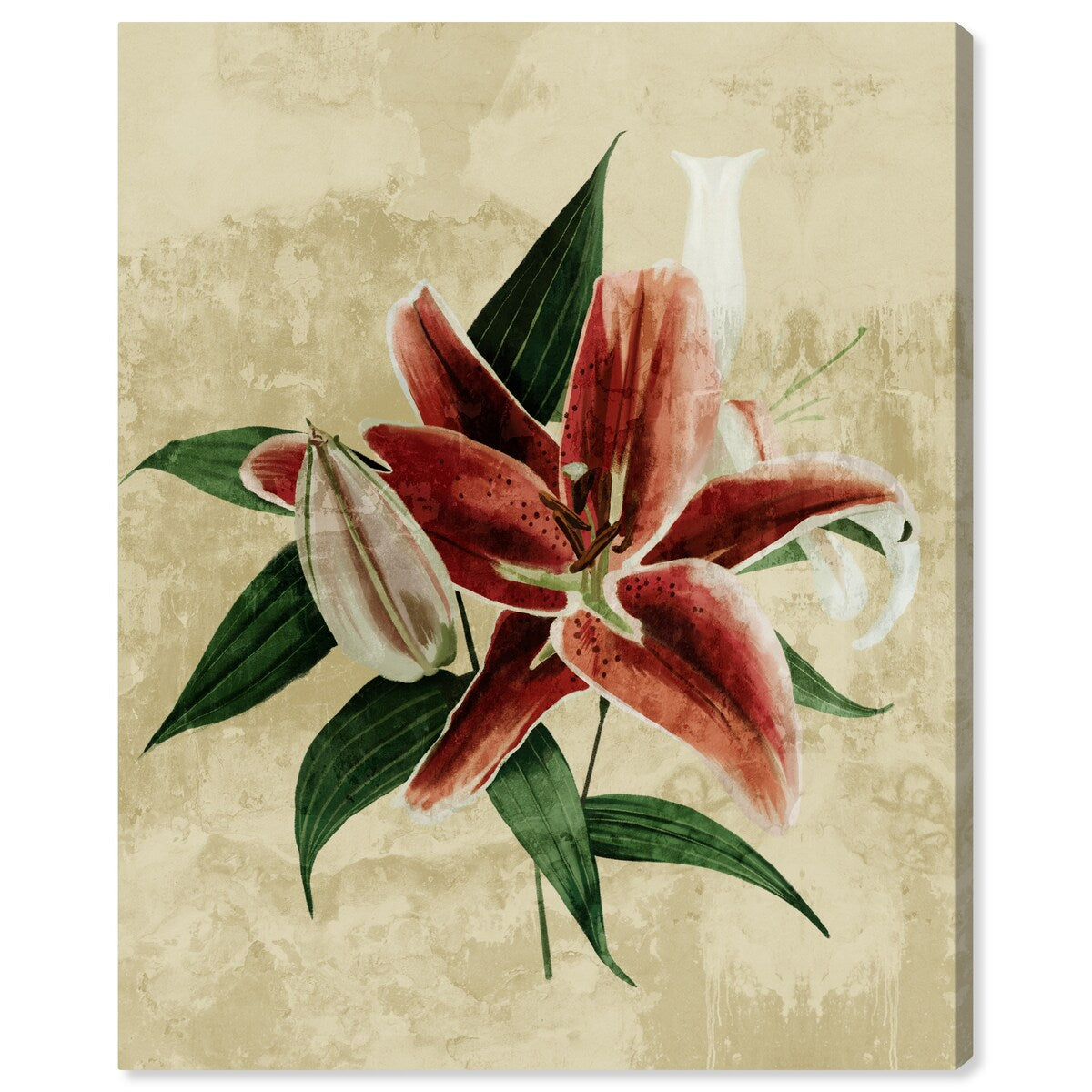 Wynwood Studio Canvas Floral and Botanical Crimson Floral Botanical Red and Traditional Wall Art Canvas Print