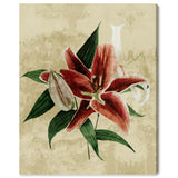 Wynwood Studio Canvas Floral and Botanical Crimson Floral Botanical Red and Traditional Wall Art Canvas Print