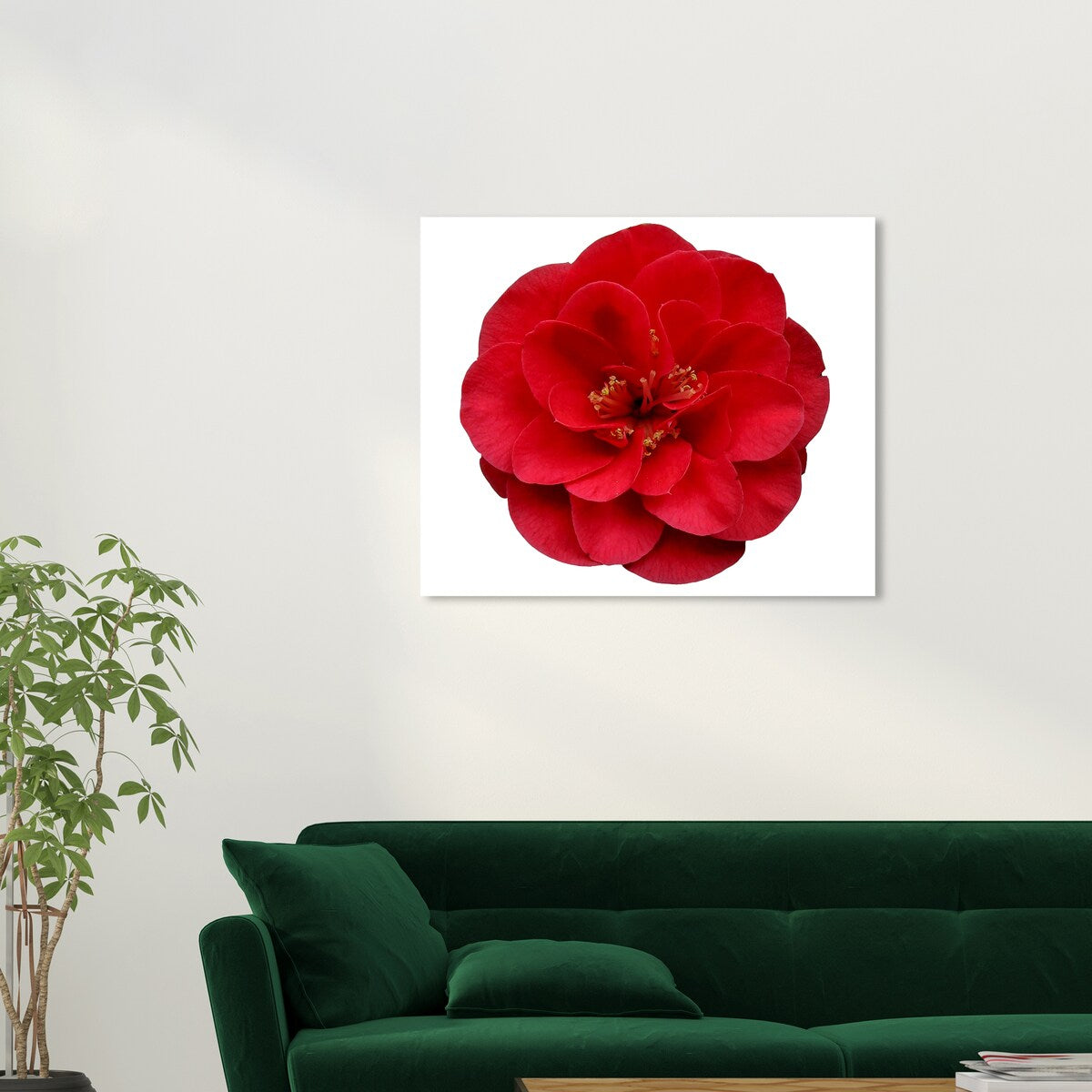 Wynwood Studio Canvas Floral and Botanical Red Floral Red and Modern & Contemporary Wall Art Canvas Print