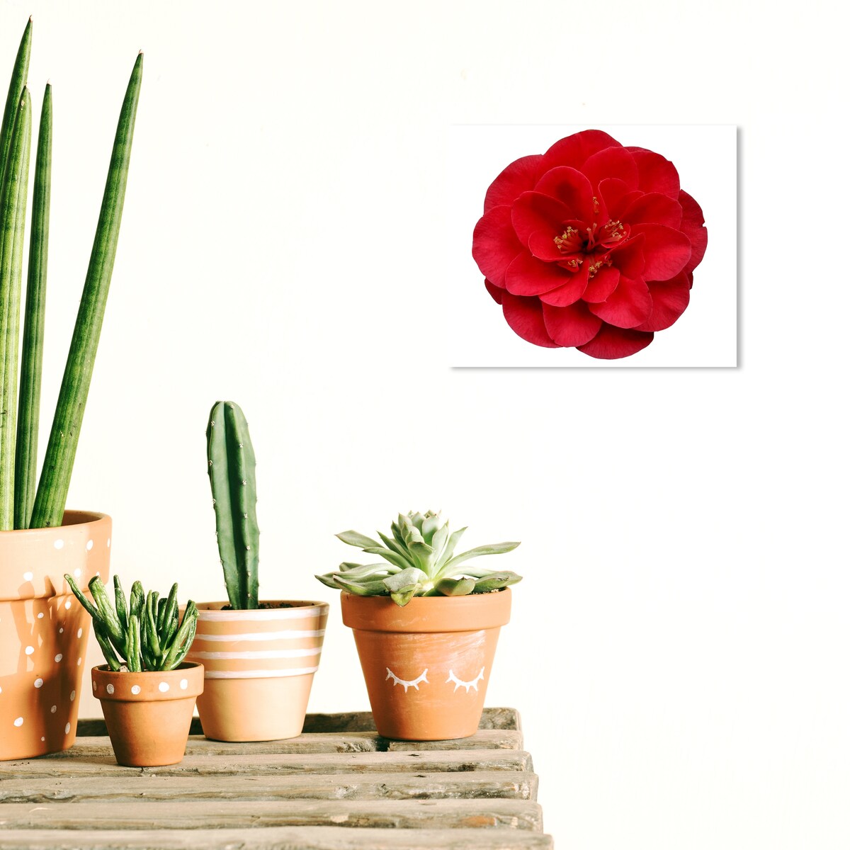 Wynwood Studio Canvas Floral and Botanical Red Floral Red and Modern & Contemporary Wall Art Canvas Print