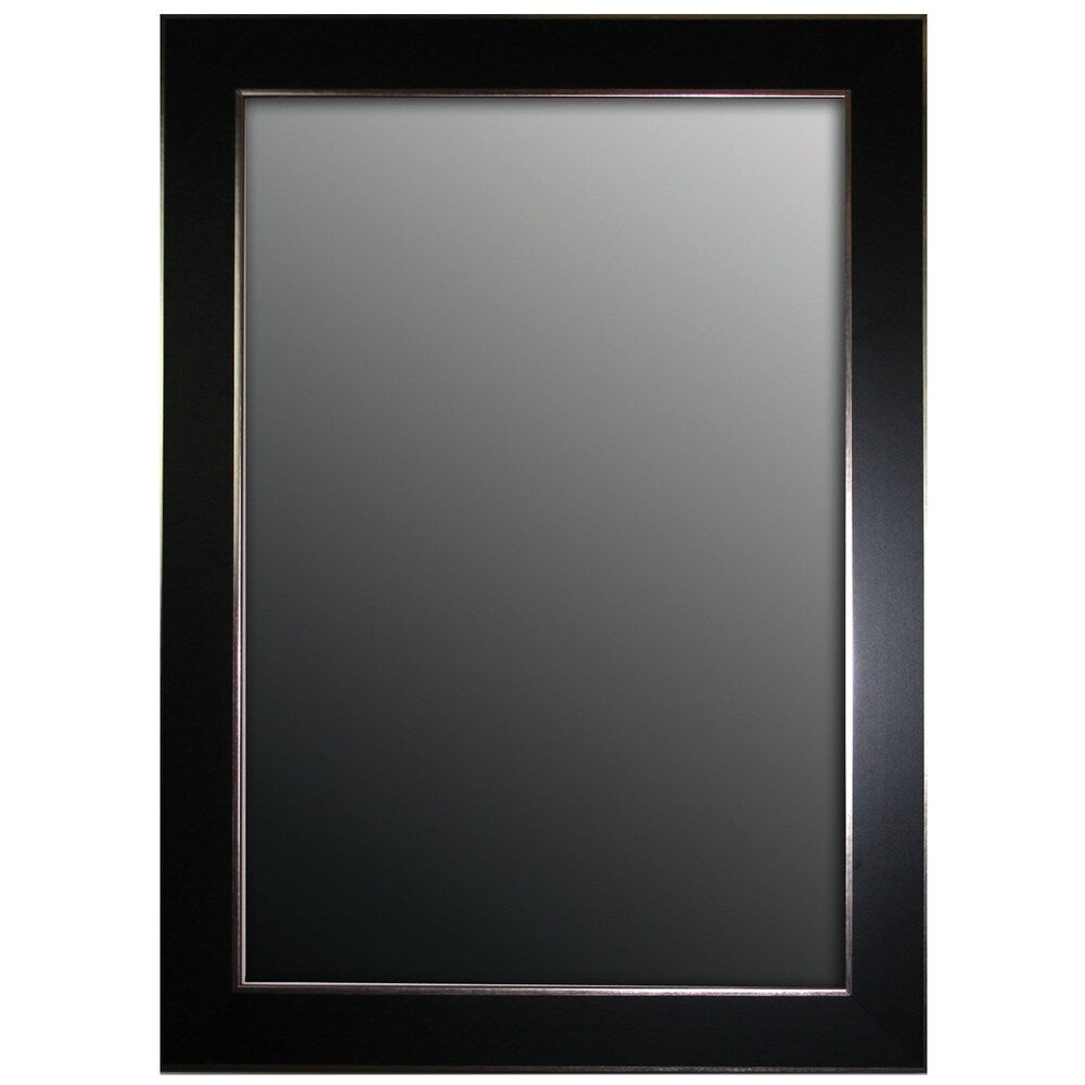 Hitchcock Butterfield Xavier Large Black and Silver Transitional Mirror - 29.75"w x 41.75"h