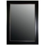 Hitchcock Butterfield Xavier Large Black and Silver Transitional Mirror - 29.75"w x 41.75"h