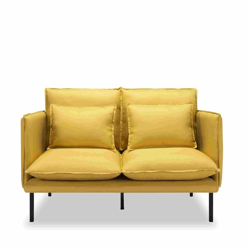 WEDOHOME Modern Polyester With Metal Legs Double Cushion Design Loveseat Sofa,Sleeper Sofa