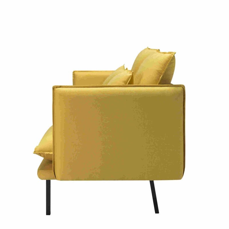 WEDOHOME Modern Polyester With Metal Legs Double Cushion Design Loveseat Sofa,Sleeper Sofa
