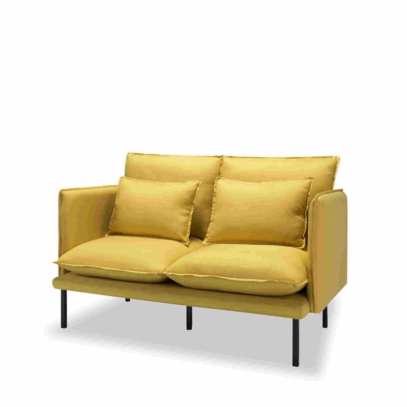 WEDOHOME Modern Polyester With Metal Legs Double Cushion Design Loveseat Sofa,Sleeper Sofa