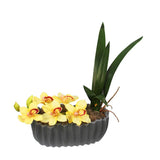 Yellow Cymbidium Orchid and Leaves Potted Silk Floral Arrangement